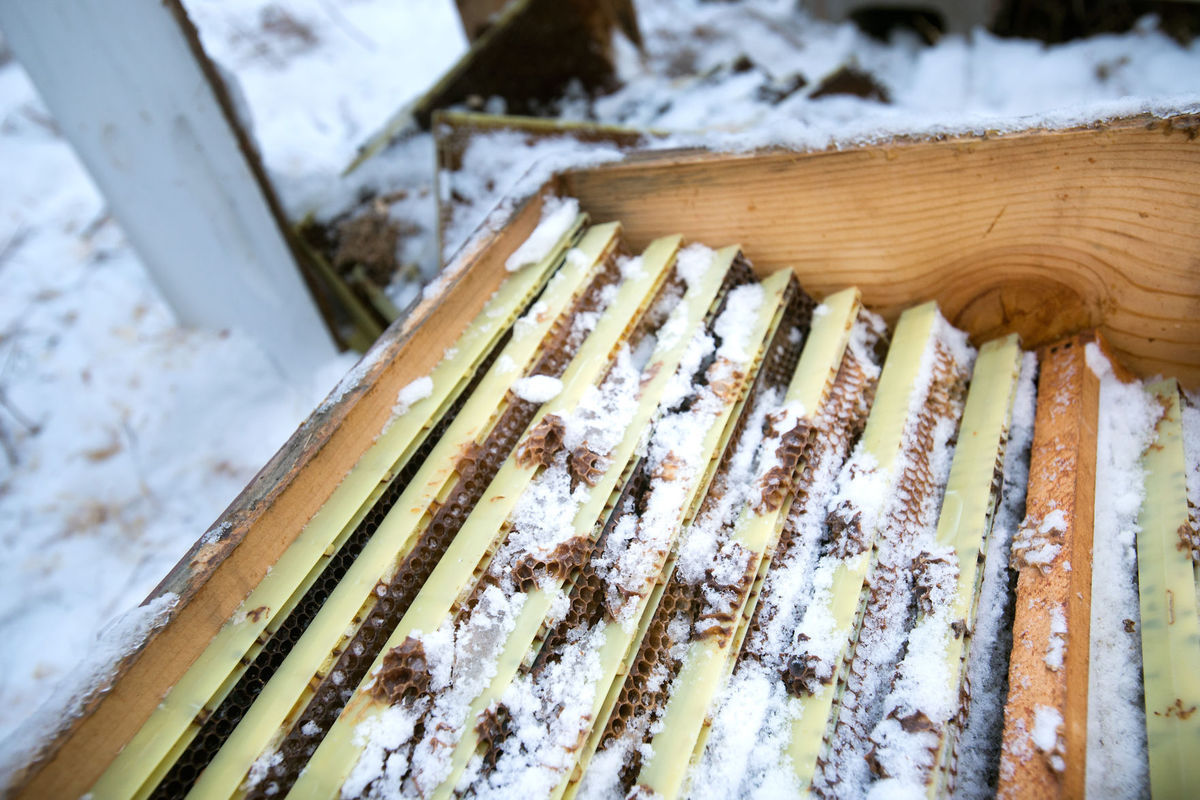 Wild Hill honey vandalism